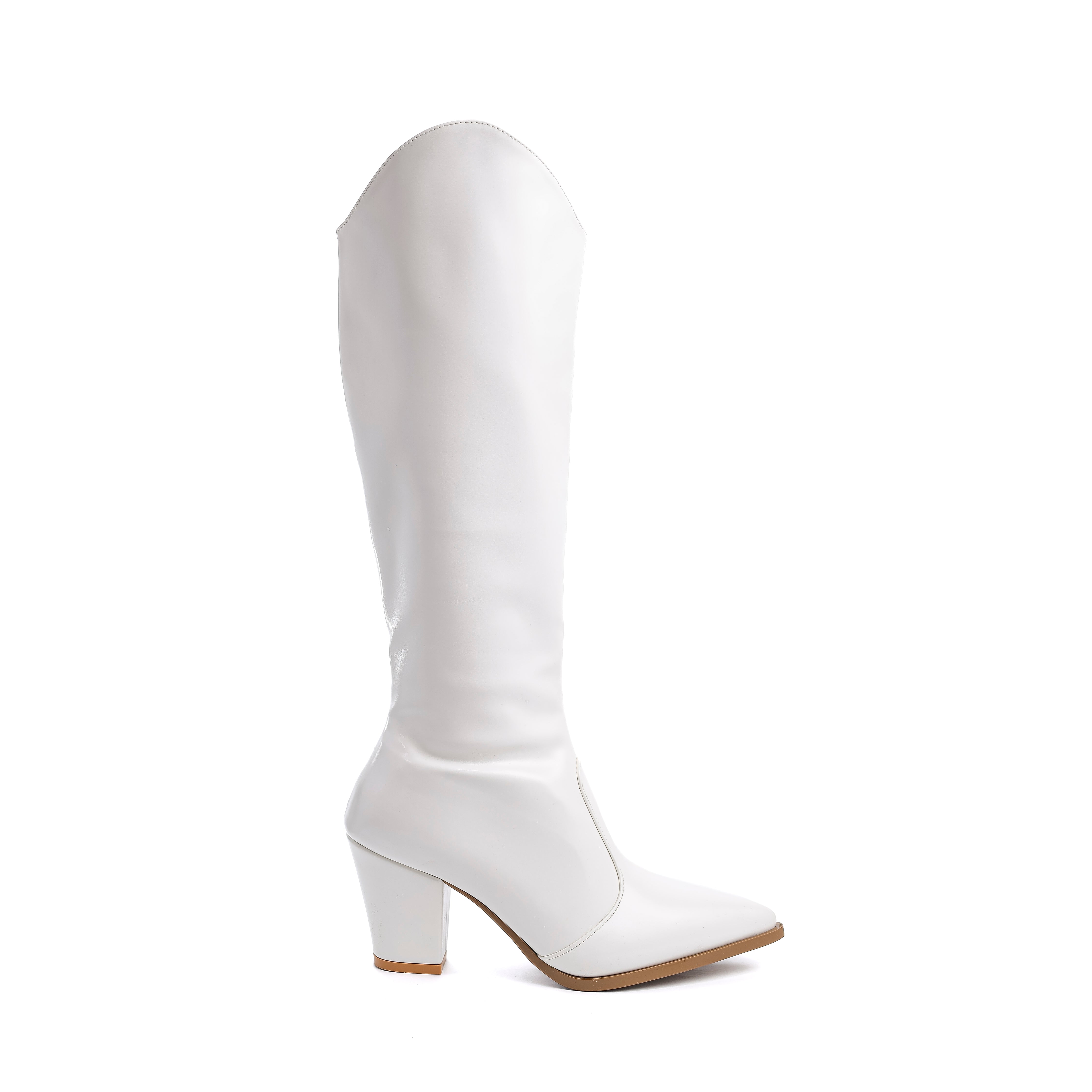 Pointed-Toe Western Boots