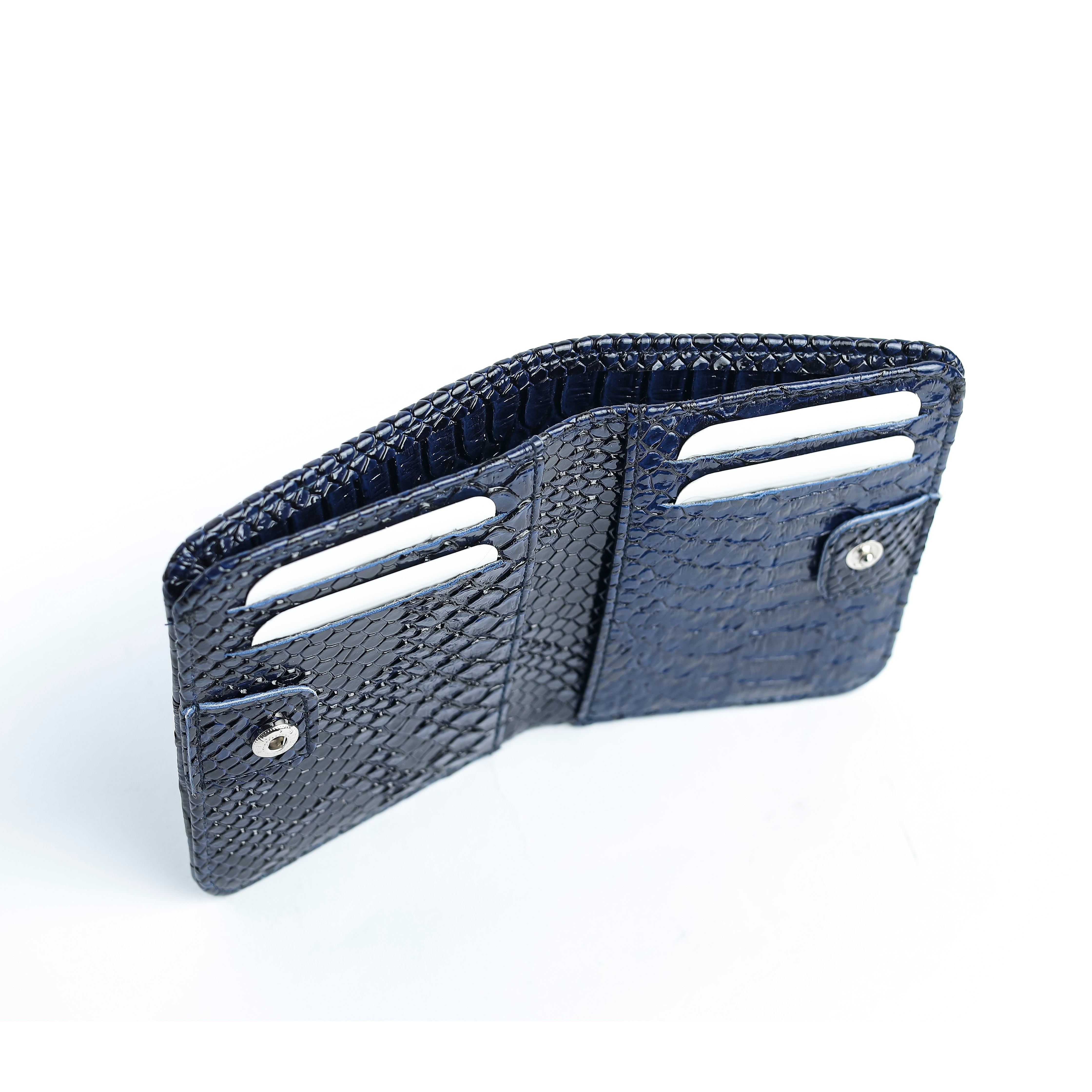 Scalr Wallet Nvay