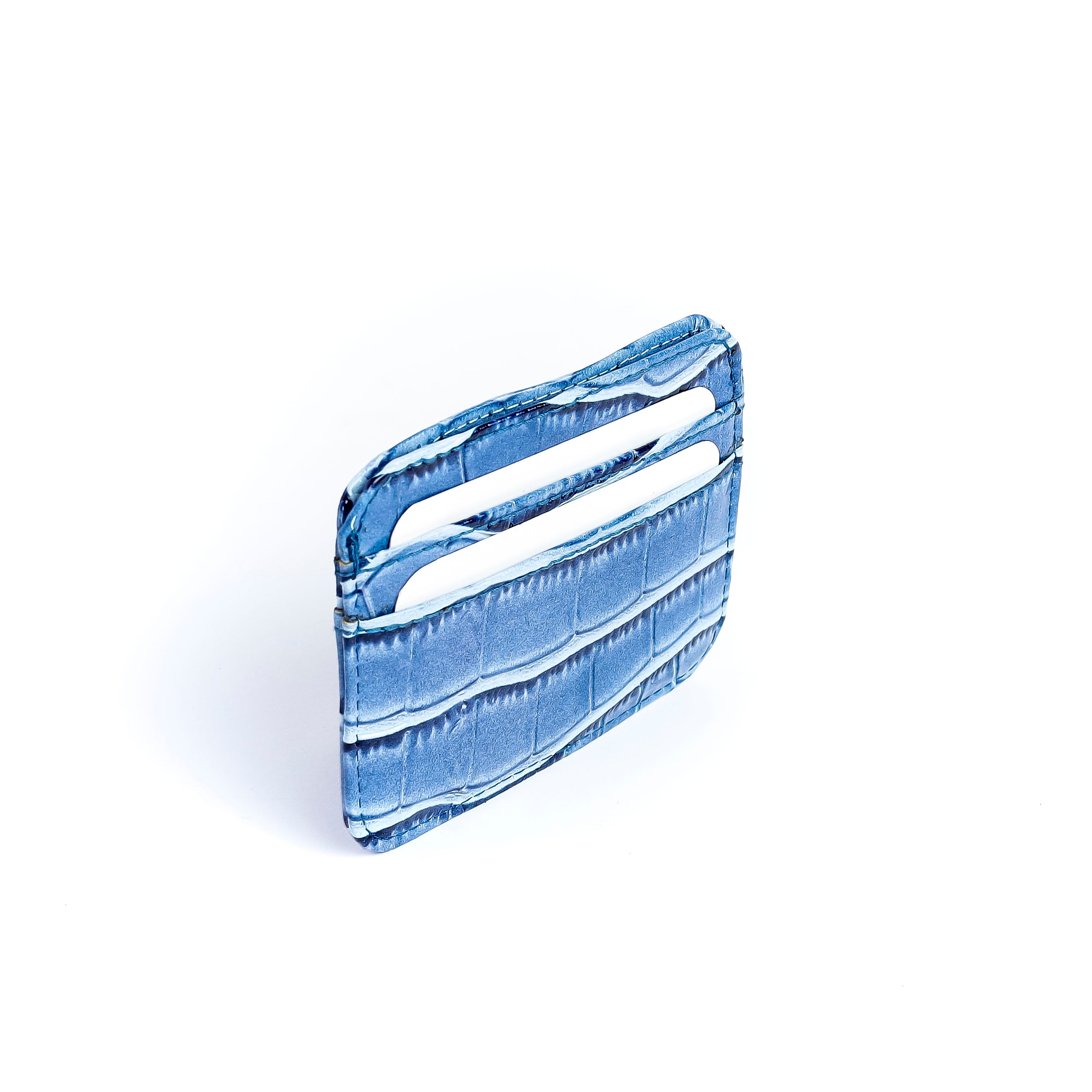 Ruby scales wallet Light blue